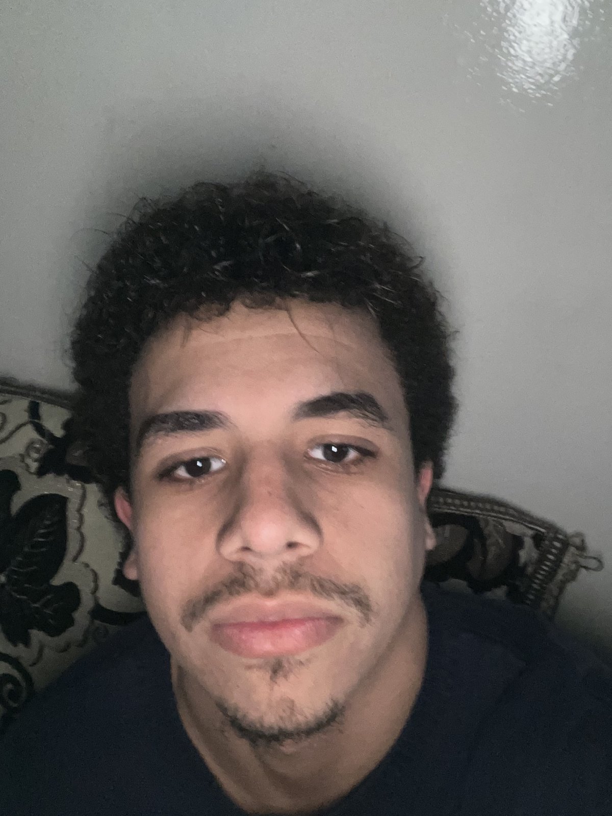 الصورة الرئيسية